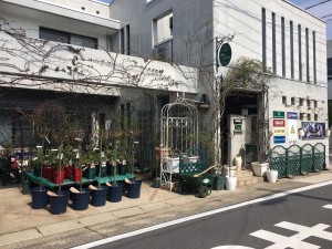 バラ専門店