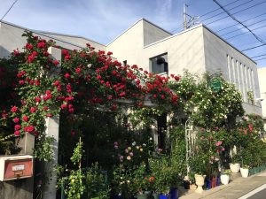 薔薇専門店外観