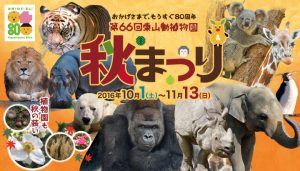 161001_autumn_festival