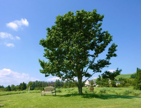 3ff29010-cade-11e1-822d-e14effda975f_o