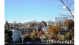 %e3%83%80%e3%82%a6%e3%83%b3%e3%83%ad%e3%83%bc%e3%83%89-4