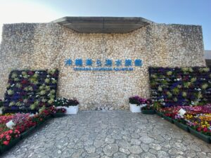 沖縄旅行①～美ら海水族館～