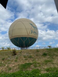 沖縄旅行②～ジャングリア～